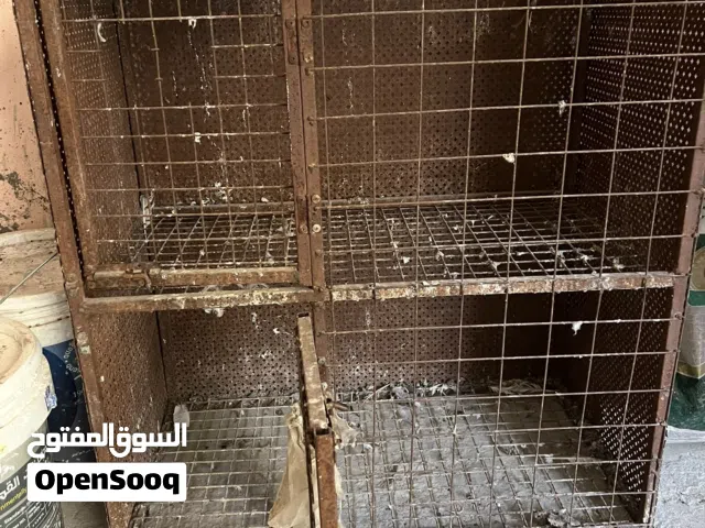 قنون حمام عدد 2