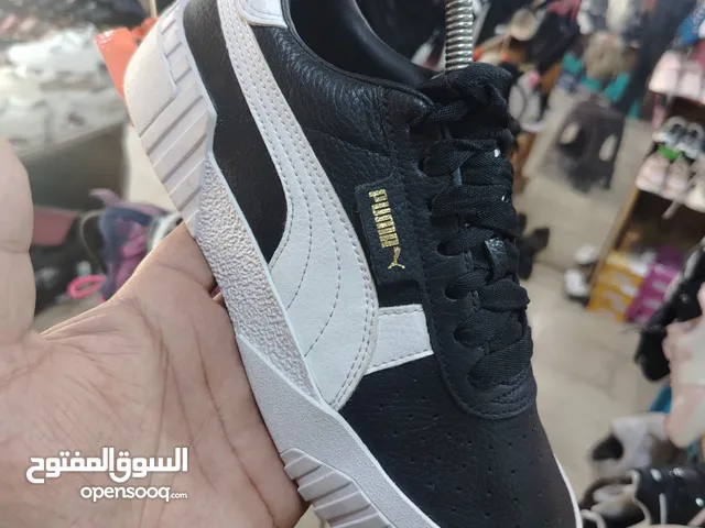 بوات رياضة ستاتي اوروبي