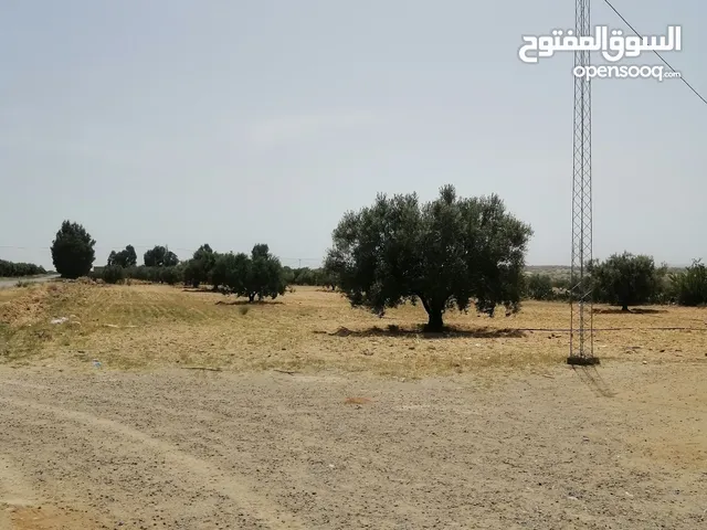 Mixed Use Land for Sale in Kasserine Other