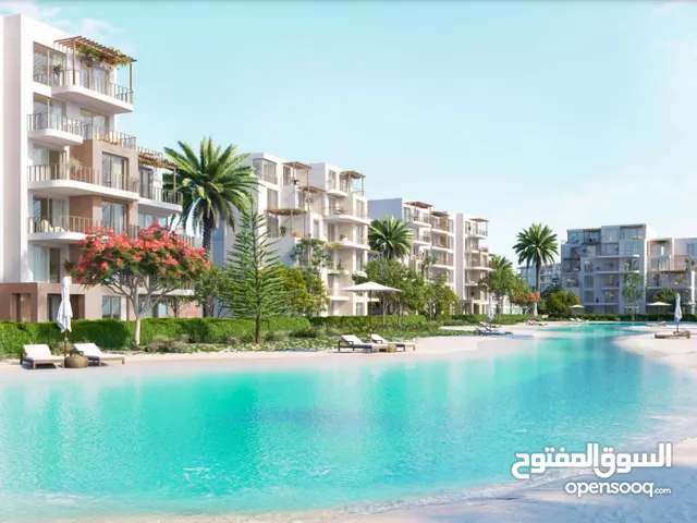 شاليه غرفة واحدة ع البحر فى سيشور رأس الحكمة بمقدم 5% وقسط لمدة 8 سنوات