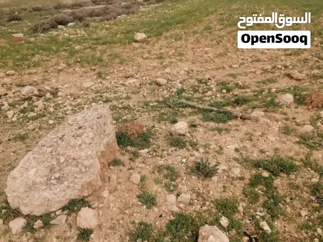 Mixed Use Land for Sale in Amman Birayn