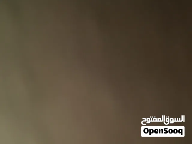 مطلوب غرفه أو استديو للايجار