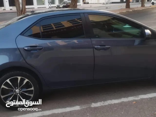 Toyota Corolla-2017