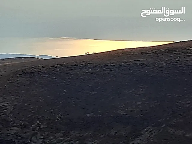 مطلوب شريك لتشغيل مطل مع بيت ريفي مطل كوفي شوب مطل جلسات طريق حمامات ماعين الرئيسي مطله على البحر