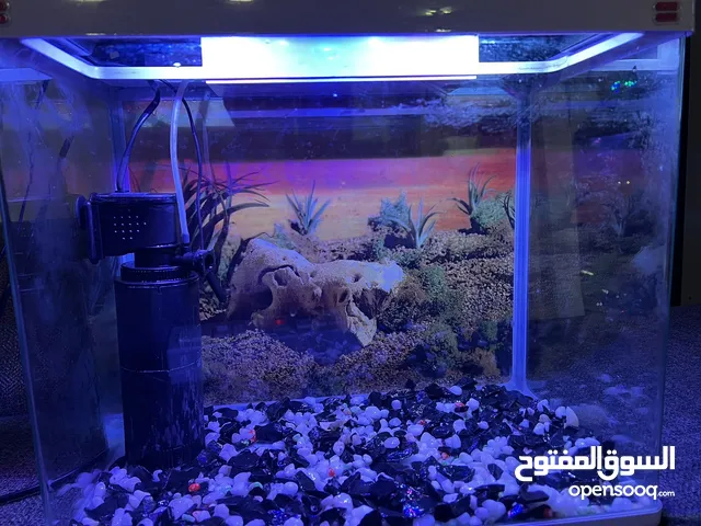 Aquarium/ Fish tank for sale