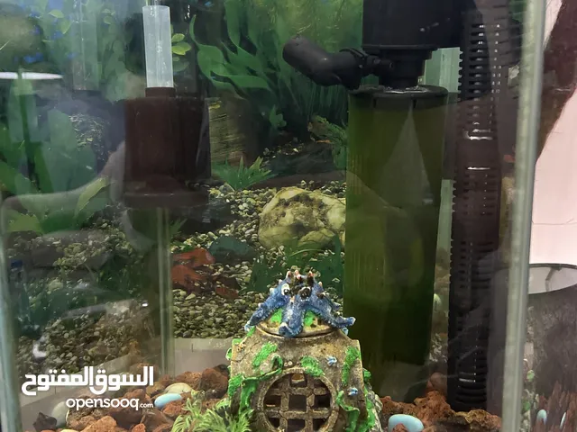 للبيع حوض سمك مع طاولته بكامل معداته