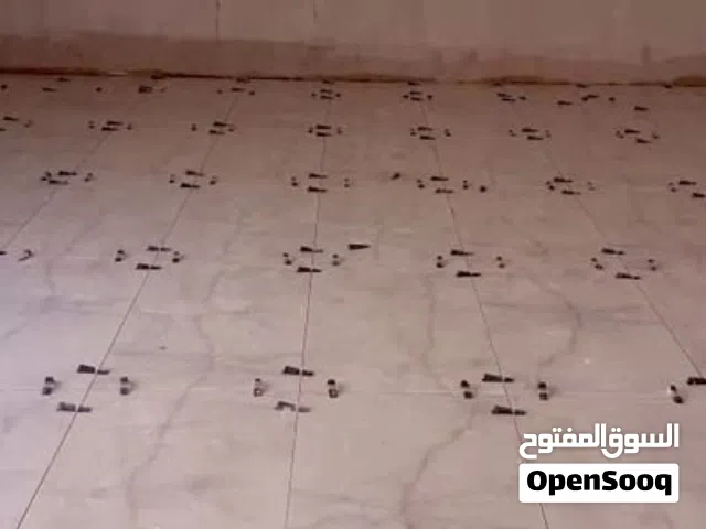 شغل مقاولات