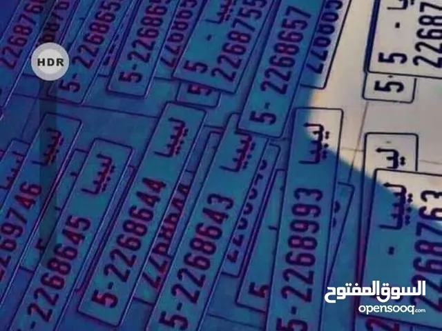 إتمام إجراءات سيارات طرابلس