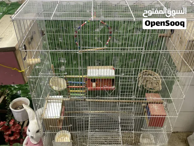 قفص جاهز بيوت وعش