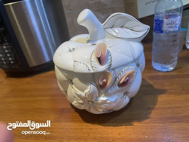 مقدمه جكليت مع مزهريات
