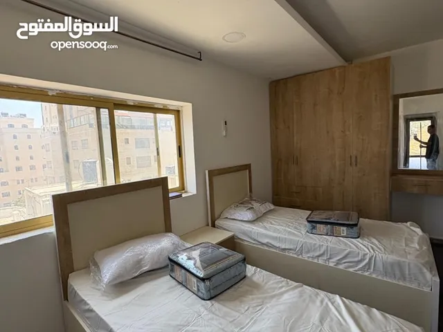 استوديو صغير مفروش للايجار الماصيون