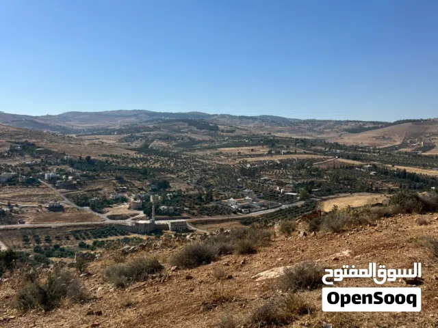 Mixed Use Land for Sale in Jerash Unaybah