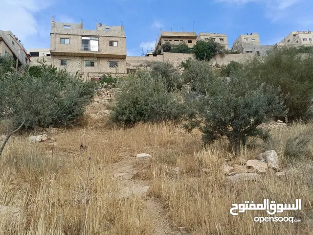 185 m2 5 Bedrooms Townhouse for Sale in Zarqa Jabal Al Ameer Faisal