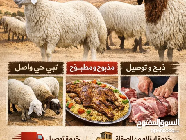 عندنا غنم إيراني و نعيمي يوجد توصيل و يوجد طبخ و يوجد استلام من الصفاة