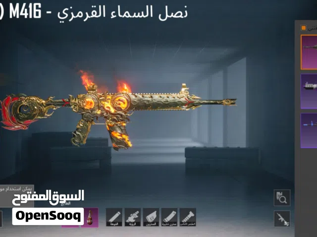 Pubg Accounts and Characters for Sale in Hebron
