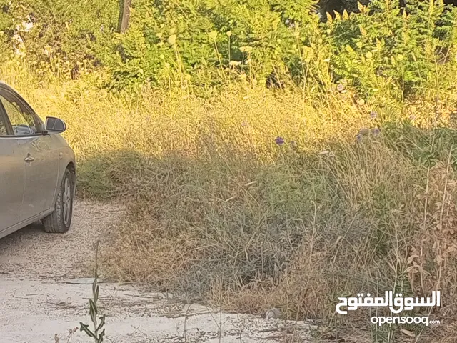 Residential Land for Sale in Salt Al NAqab