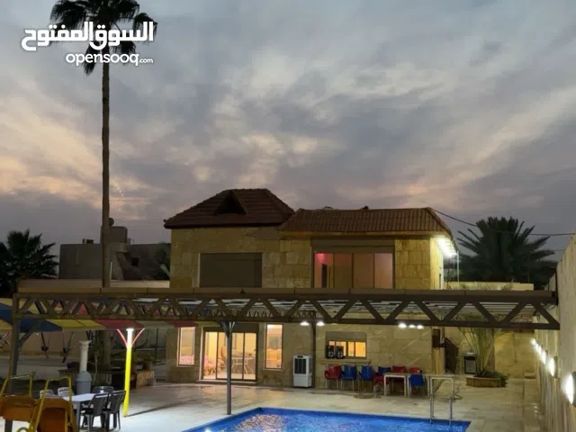 مزراع ڤيوليت