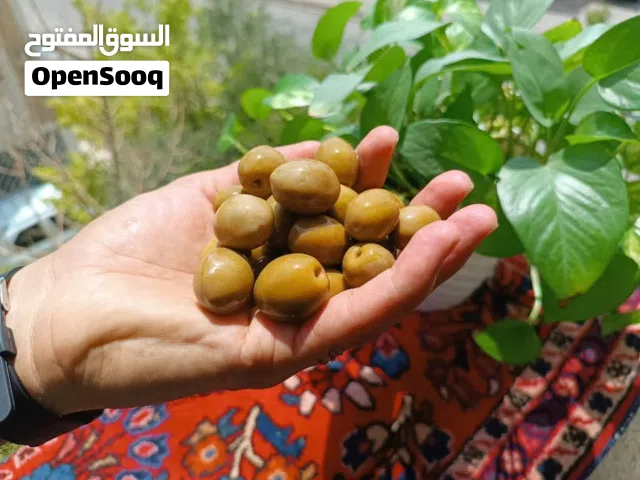 بيع زيت الزيتون والزيتون الفاخر
