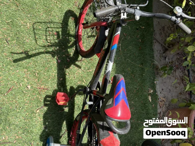 Bicycle20 inch   red and blue