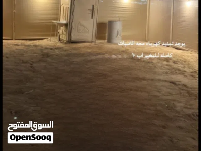 حمام للبيع ا