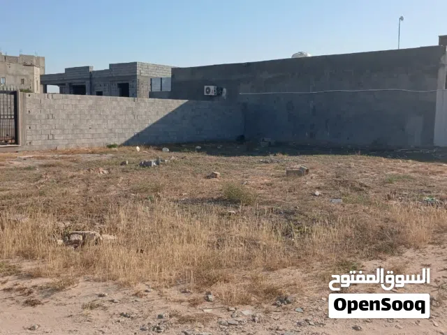 320م شارع الهمبورقا