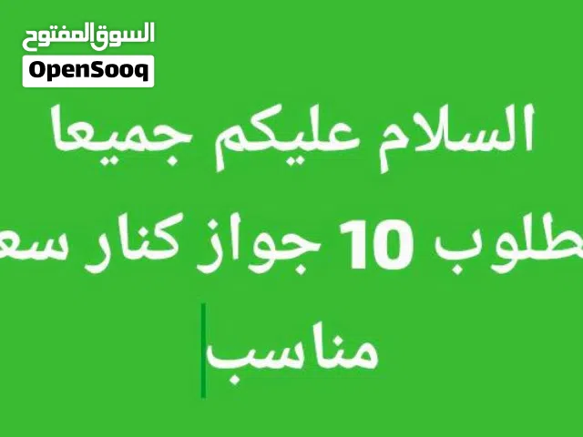 مطلوب طيور كنار