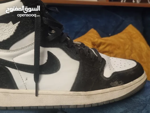 45 Sport Shoes in Amman