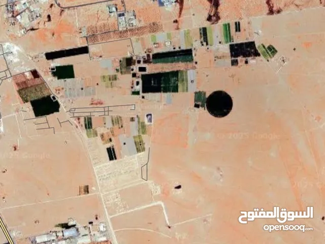 Farm Land for Sale in Amman Al Jizah