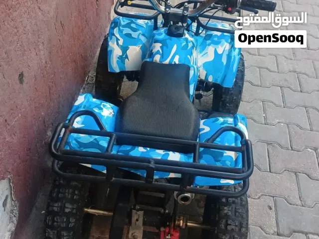 2019 تايجر أخرى