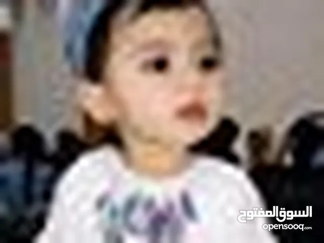 مصطفى المسلماني