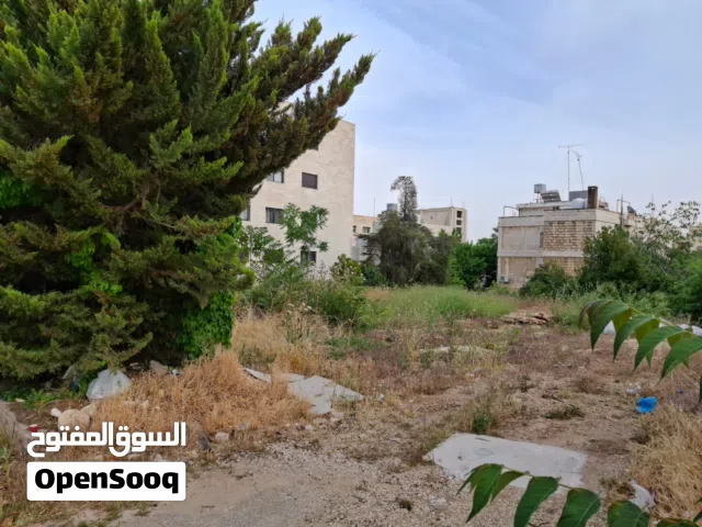 Commercial Land for Sale in Amman Shmaisani
