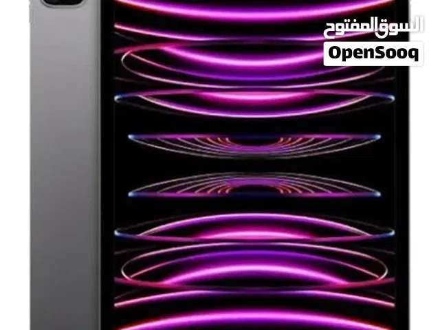 iPad Pro 11-inch (4th Generation) Wi-Fi + Cellular