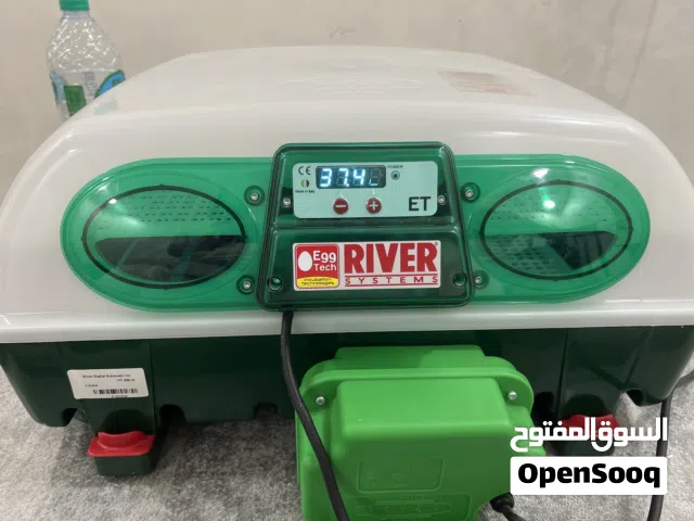 فقاسة دجاج إيطالية للبيع 69 بيض دجاج 110 بيض سمان