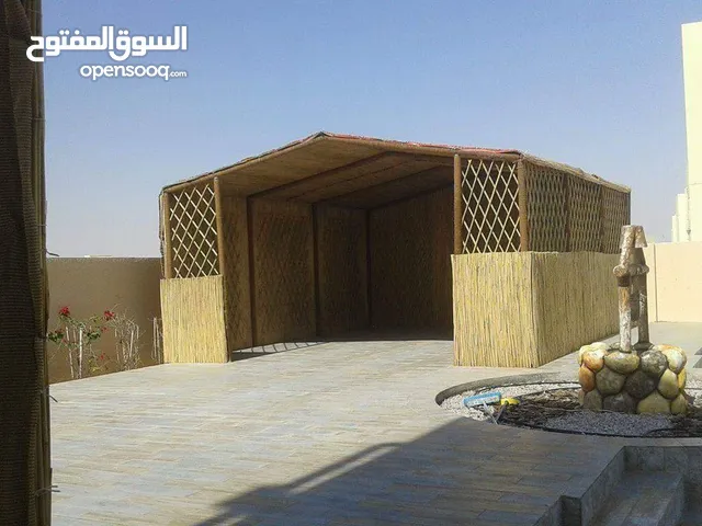 ابوظبي مدينة زايد الظفرة