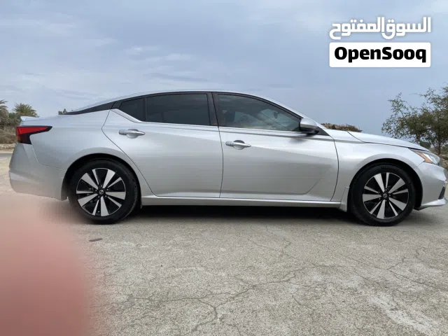 نيسان التيماء