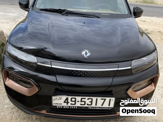 2024 Dongfeng EX1