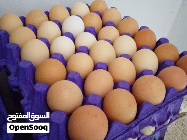 بيض للاكل طازج عضوي من المزرعه