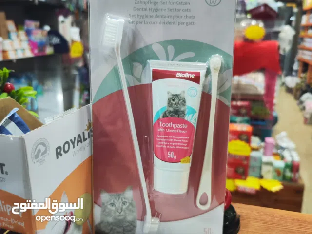 تنظيف أسنان القطط: حافظ على صحة فم قطتك! يمنع تراكم الجير والبلاك، ويقلل من رائحة الفم الكريهة،