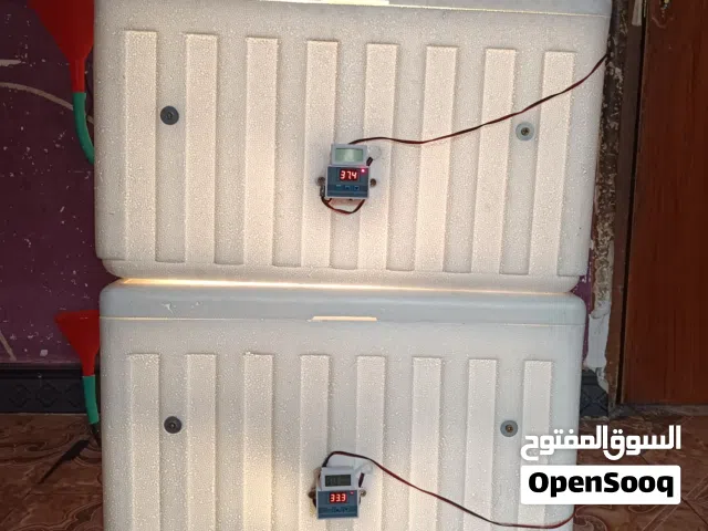 السلام وعليكم فقاسات
