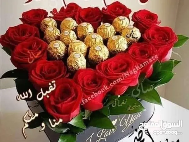 مطلوب دجاج بلادي