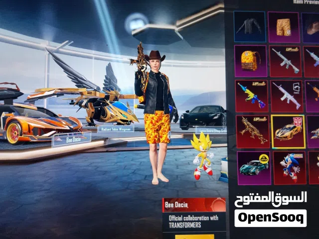 Pubg Account Collection LVL 73  ID lvl 85