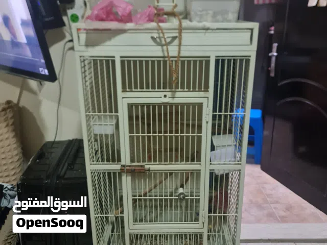 برسم البيع  قفص كبير للببغائات