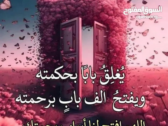 بسم الله / مطلوب شريك في مطعم وكافيه جاد في خليفه أ