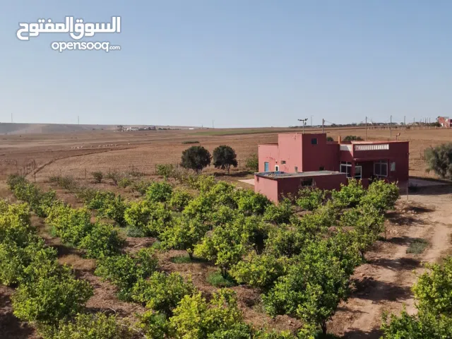Farm Land for Sale in El Jadida Other