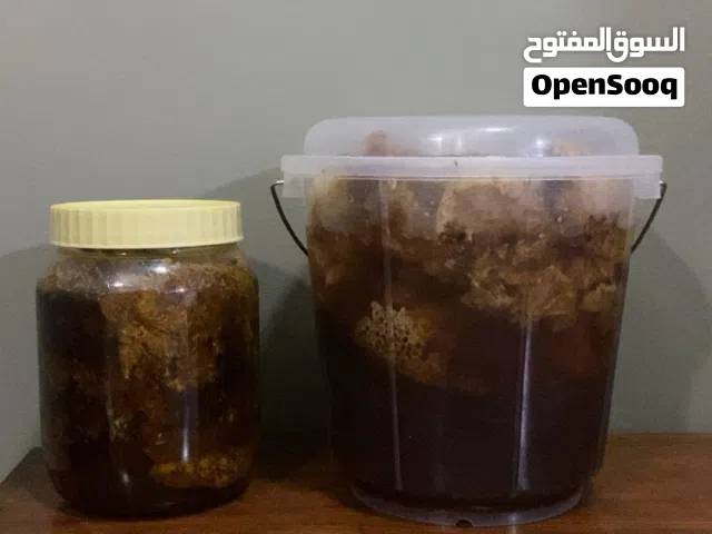 للبيع عسل ابو طويق