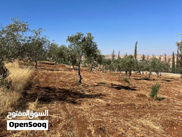 Mixed Use Land for Sale in Jerash Unaybah