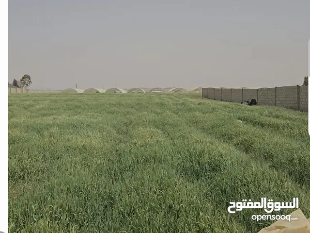 للبيع قطعة أرض 3.8 دونم في اللبن القليب قرب مشروع اعمار من المالك مباشره