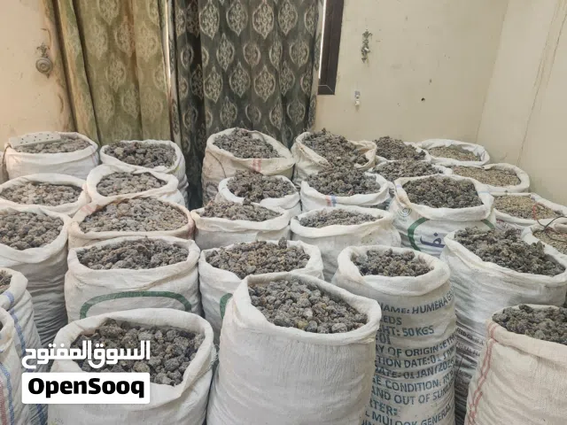 عرض جونيه لبان حوجري فصوص 40 كيلو