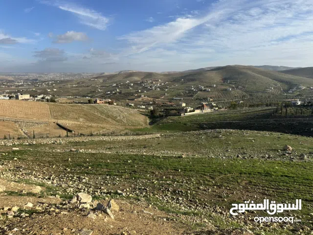 Farm Land for Sale in Zarqa Sarout