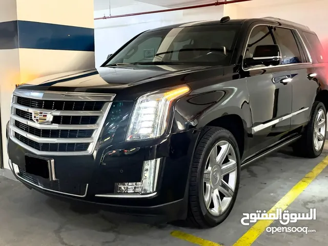 Used Cadillac Escalade in Dubai